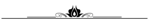 CostaRi.ca Elegant Separator Bar