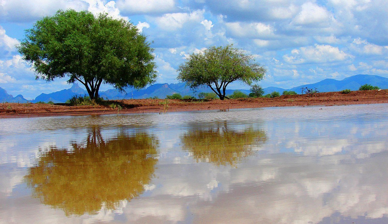 Etchohuaquila Navojoa Sonora México