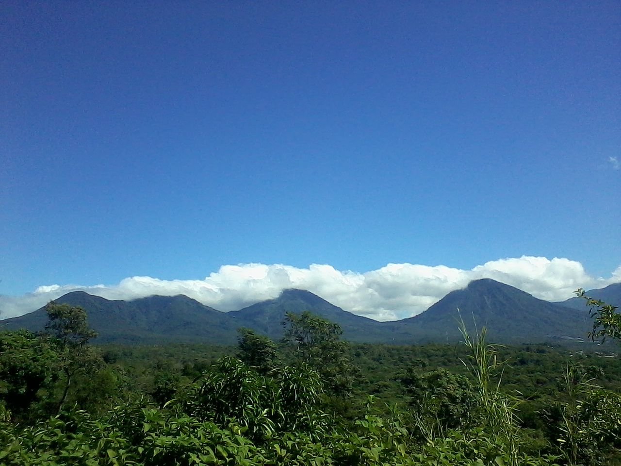 Mountain Bones